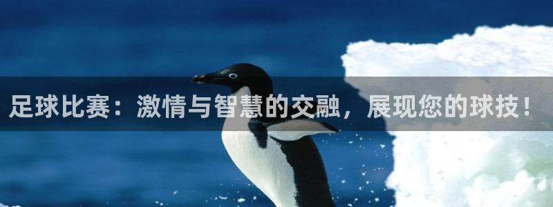 678体育app安卓版下载：足球比赛：激情与智慧的交融，展现