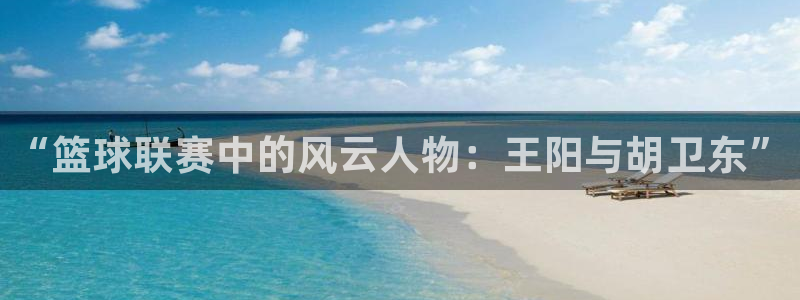 678体育停止服务公告：“篮球联赛中的风云人物：王阳与胡卫东