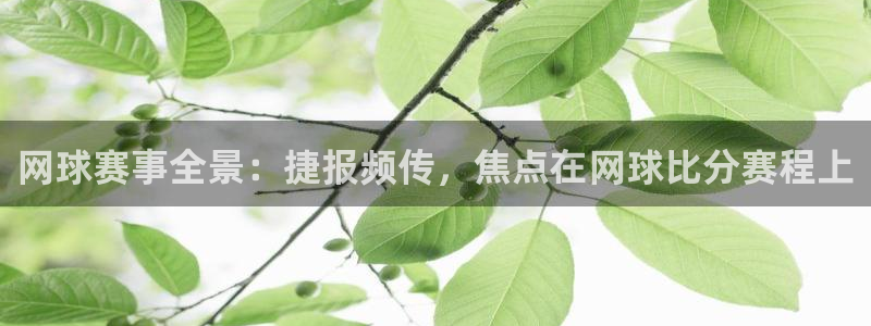 678体育最新官网：网球赛事全景：捷报频传，焦点在网球比分赛