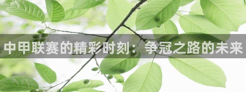 678体育入口：中甲联赛的精彩时刻：争冠之路的未来