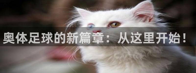  678体育现在改名了吗：奥体足球的新篇章：从这里开始！