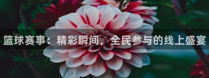 678体育app：篮球赛事：精彩瞬间，全民参与的线上盛宴