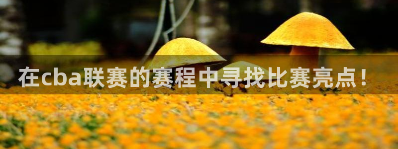 678体育官网：在cba联赛的赛程中寻找比赛亮点！