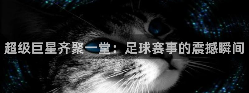 678体育最新官网：超级巨星齐聚一堂：足球赛事的震撼瞬间