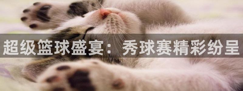 678体育最新官网：超级篮球盛宴：秀球赛精彩纷呈