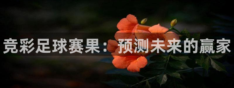 678体育app官网下载最新版本更新内容：竞彩足球赛果：预测