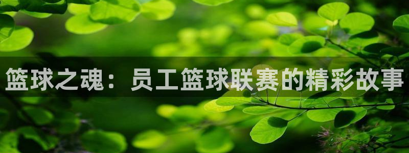  678体育停运后：篮球之魂：员工篮球联赛的精彩故事