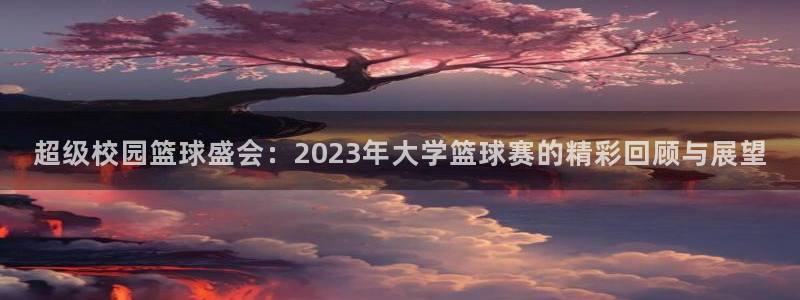  678体育世界杯赛事app：超级校园篮球盛会：2023年大学
